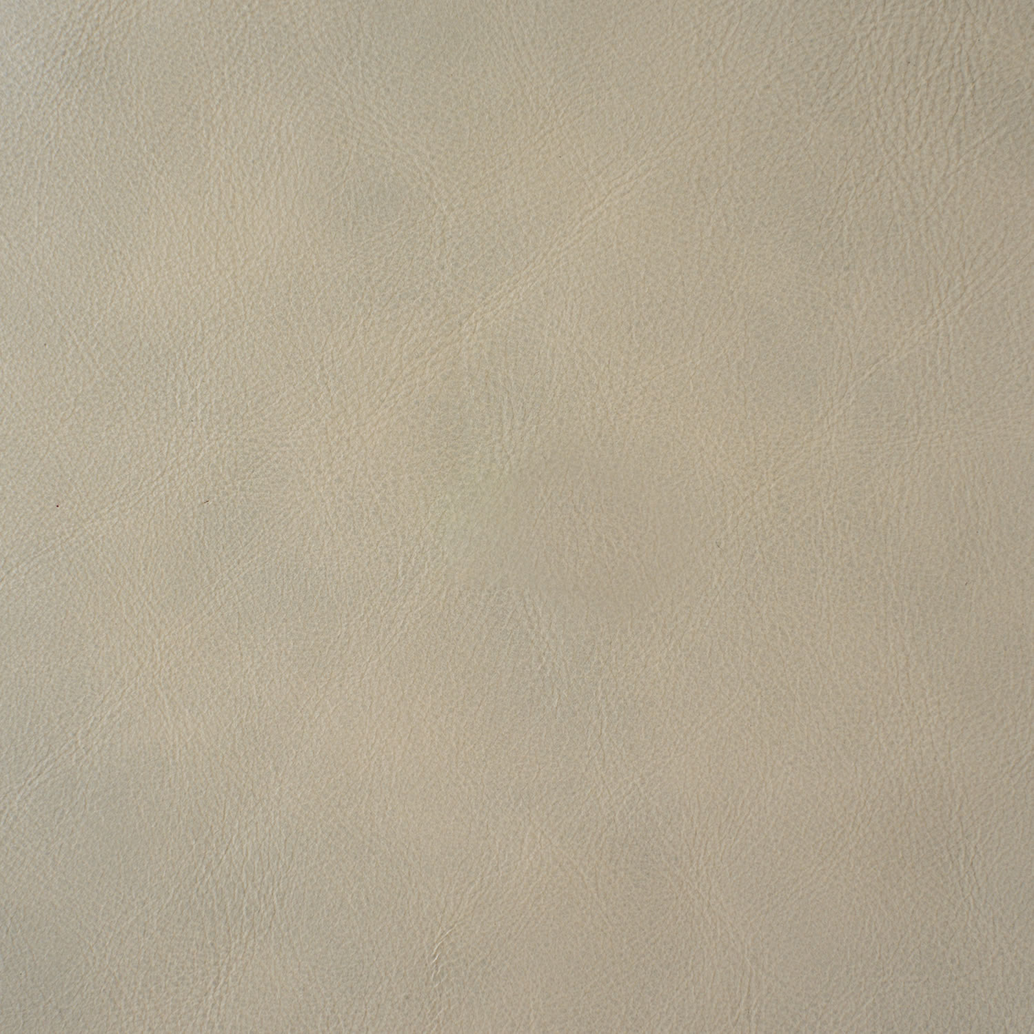 Cream-White